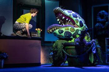 A man stands back on a desk while a gigantic plant shows its mouth with large teeth.