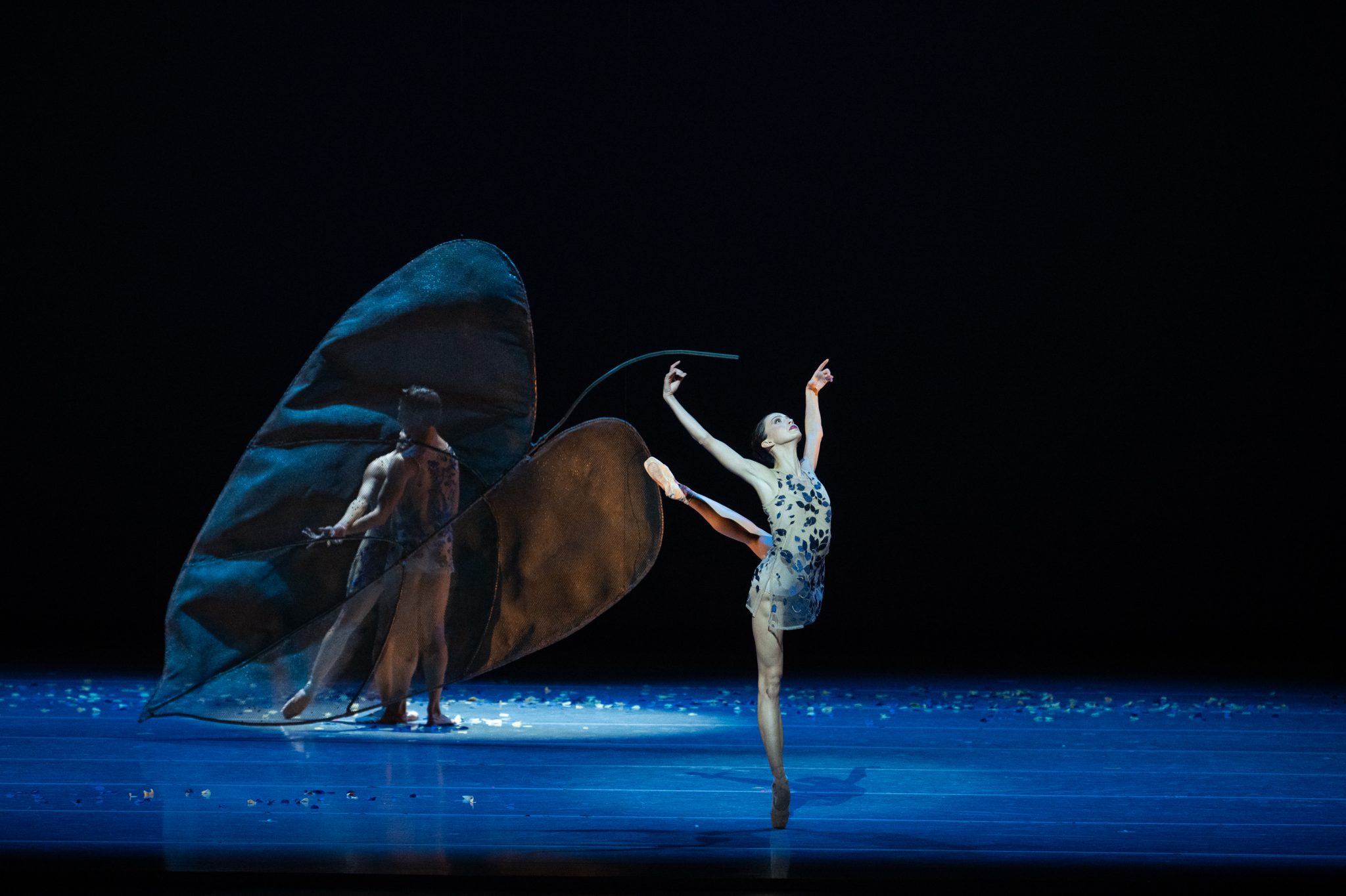 The Journey of Joffrey Dancer Olivia Duryea